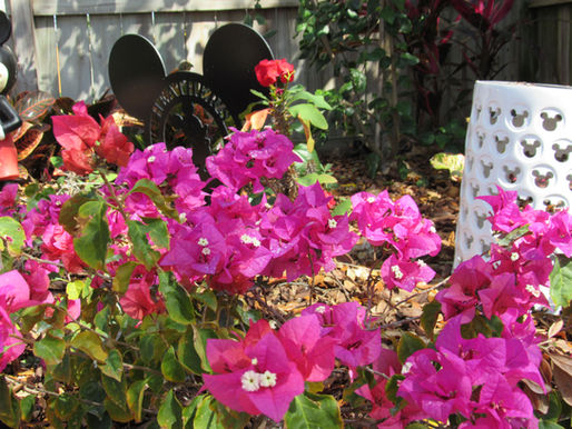 Let your yard speak for itself.