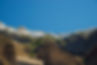 web-banner.jpg