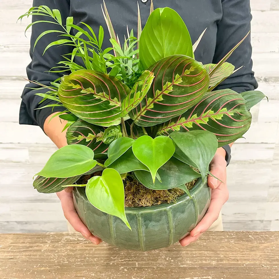 Custom Dish Garden