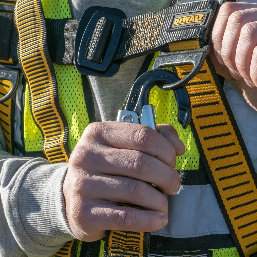 Thumbnail: DEWALT 6 ft. (1.8 m) Lanyard, Twin, with Steel Snap hooks on All Ends