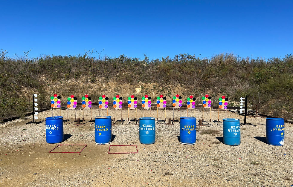 ladies series cover.jpg