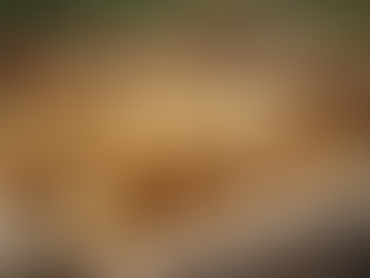 10 sėklinių bulvių auginimo patarimai