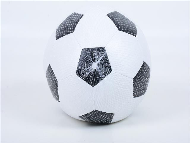 BA0299 Meshbag 8 "/20cm Sponge Asst Ball