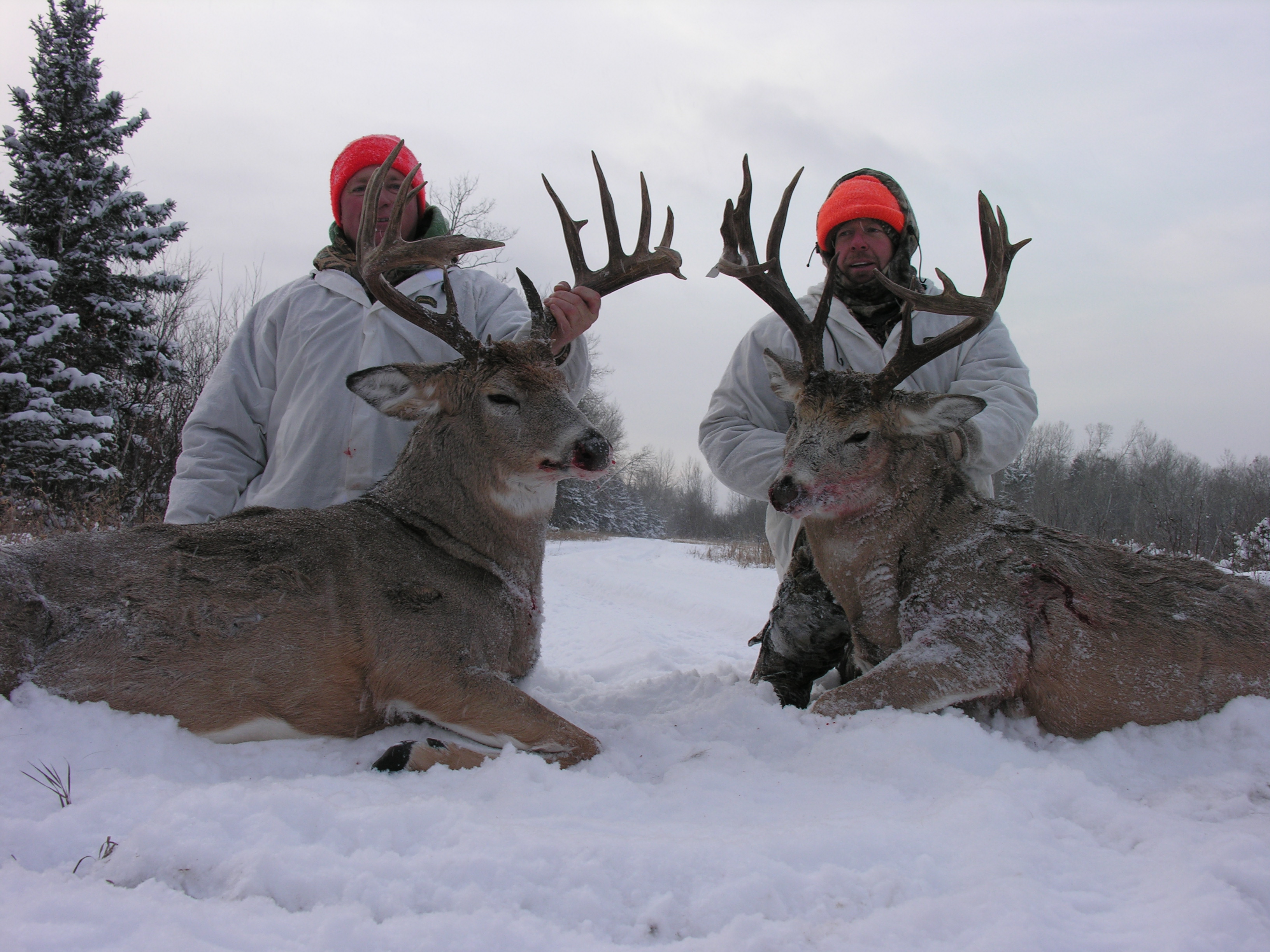 Forfaits de chasse au gros gibier — Blueberry Hill Outfitters – Blueberry Hill Outfitters
