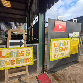An adult only evening is coming to Lower Drayton Farm