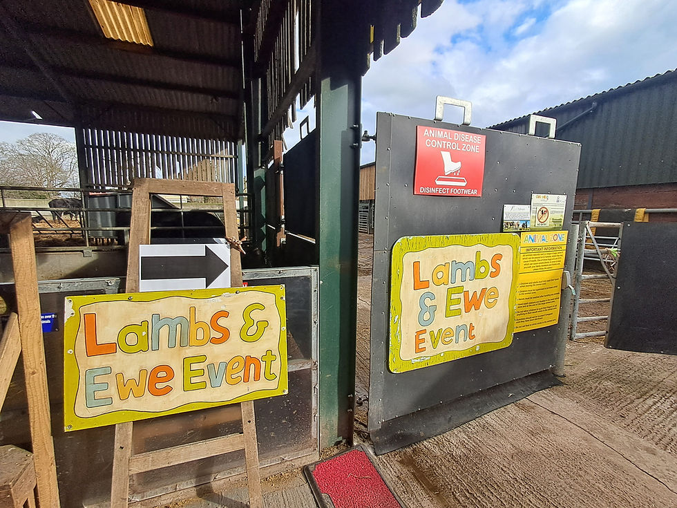 An adult only evening is coming to Lower Drayton Farm