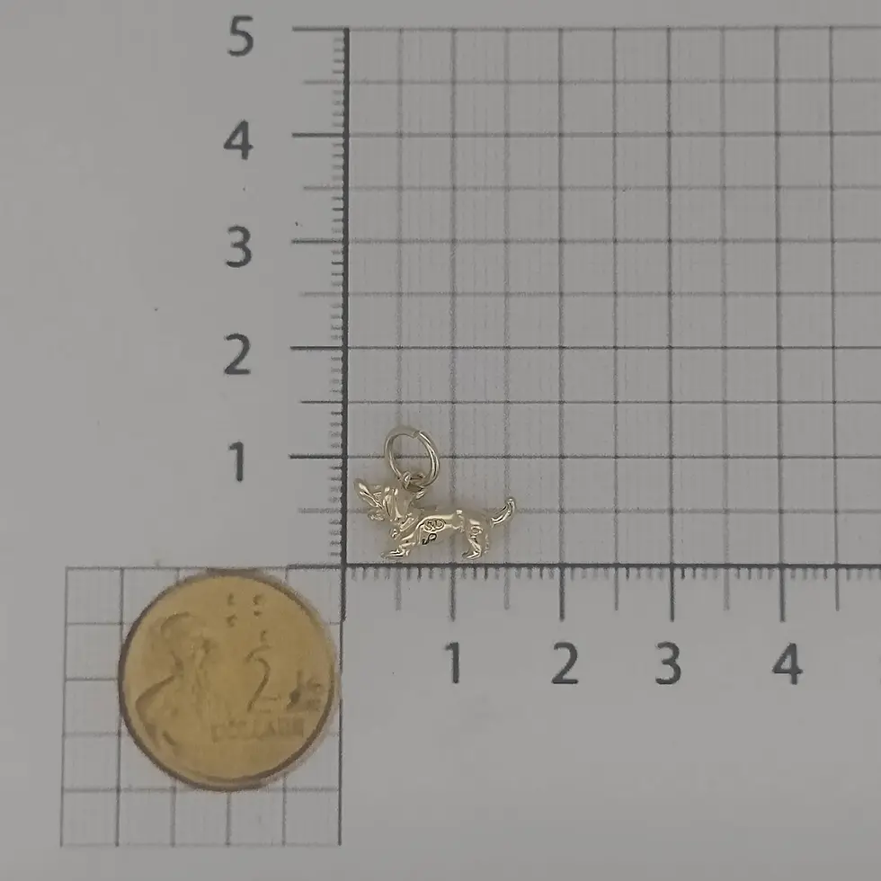 Thumbnail: Gold dachshund charm photographed beside ruler and coin for size reference