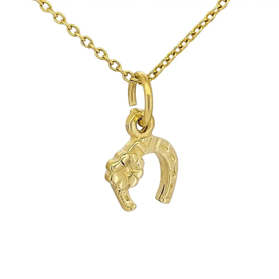 Full front view of 9ct yellow gold horseshoe with flower pendant necklace