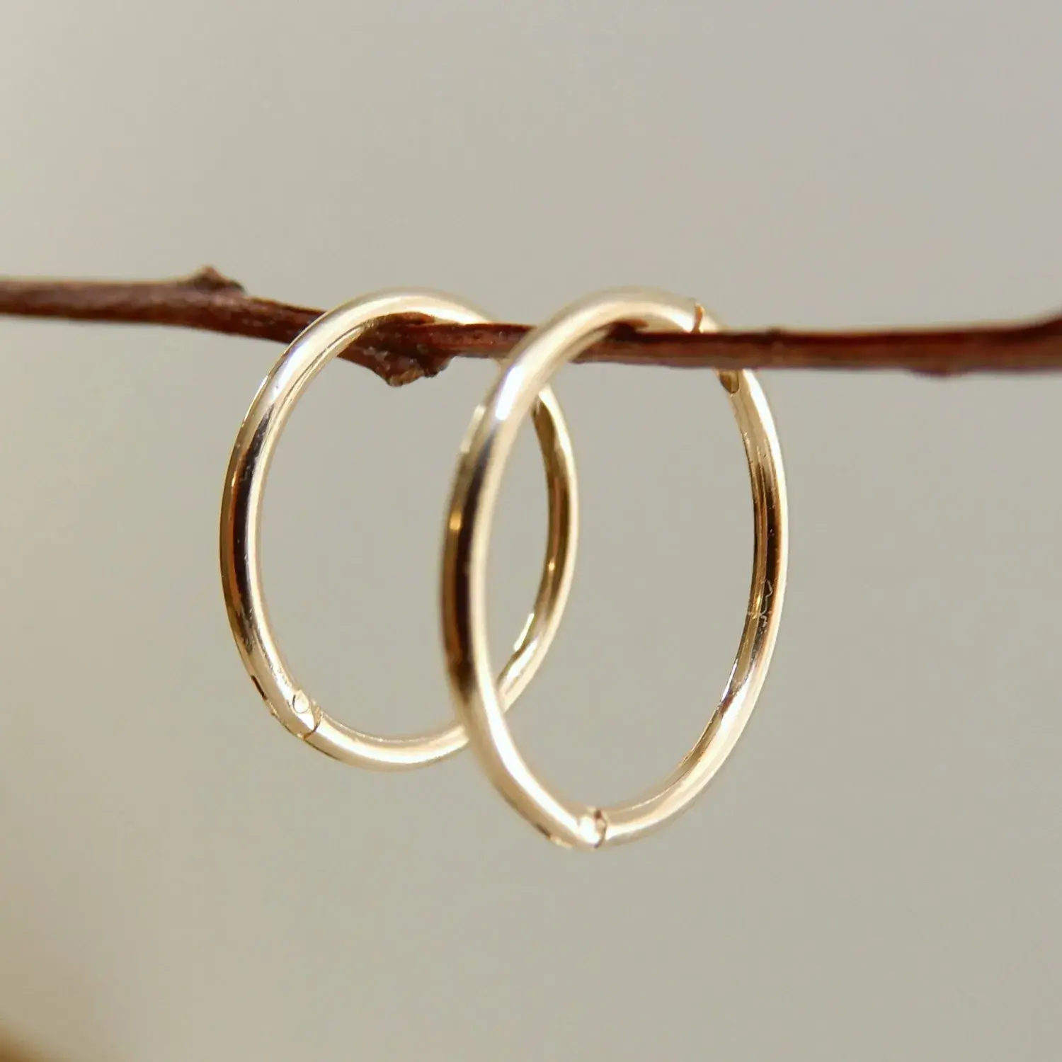 12mm 9ct yellow gold sleeper earrings hanging on branch