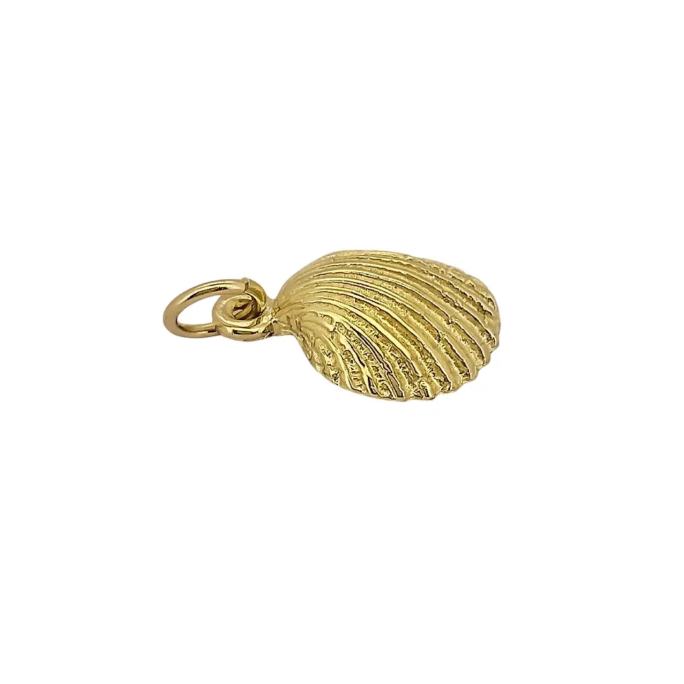 Side view of 9ct yellow gold seashell pendant with polished loop