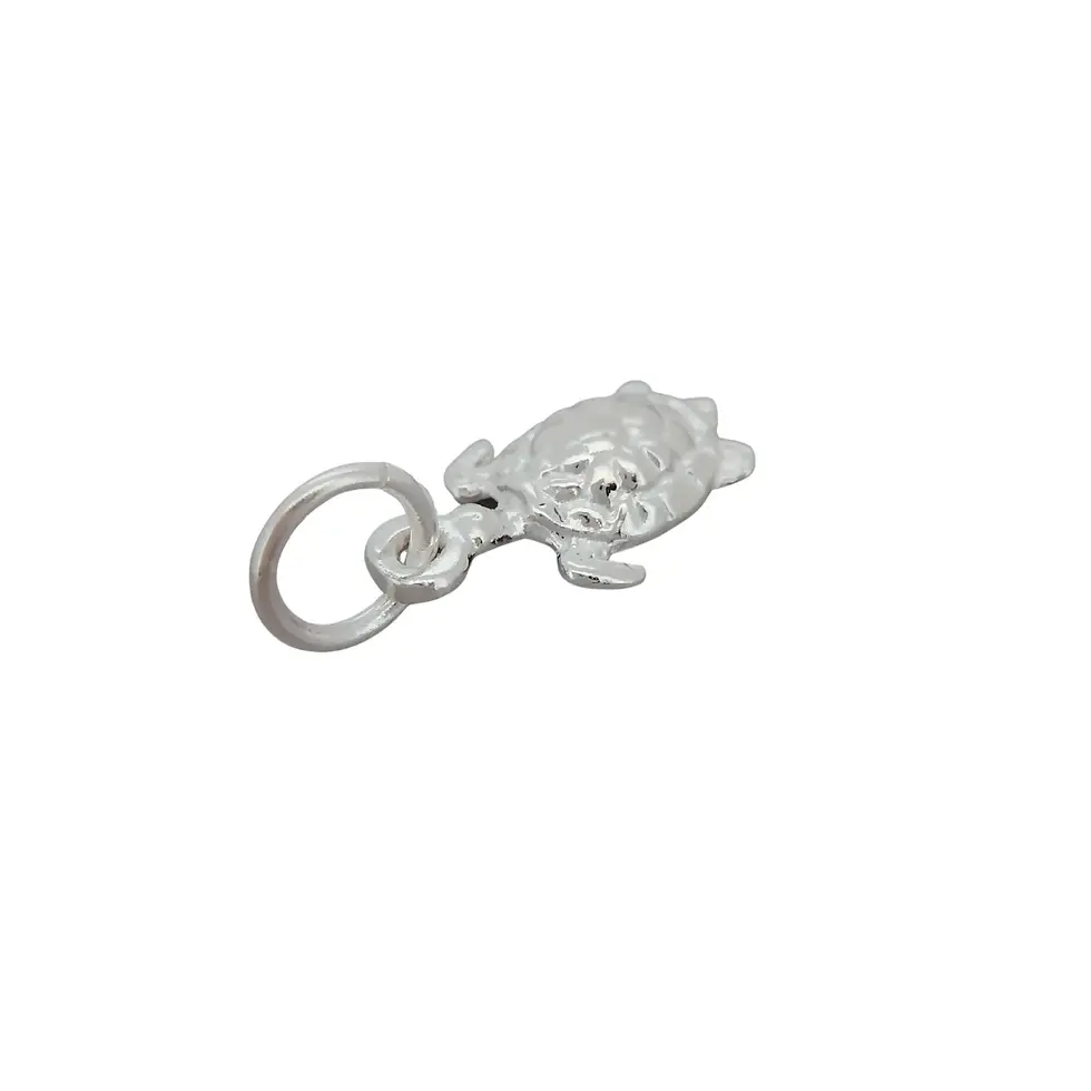 Thumbnail: Sterling silver turtle charm photographed flat on white background