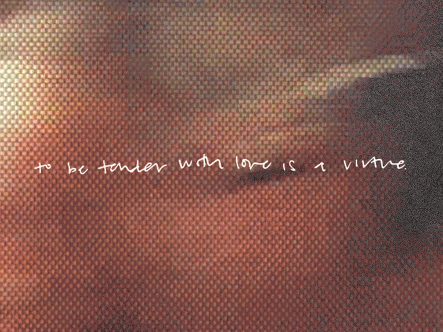 to be tender with love is a virtue