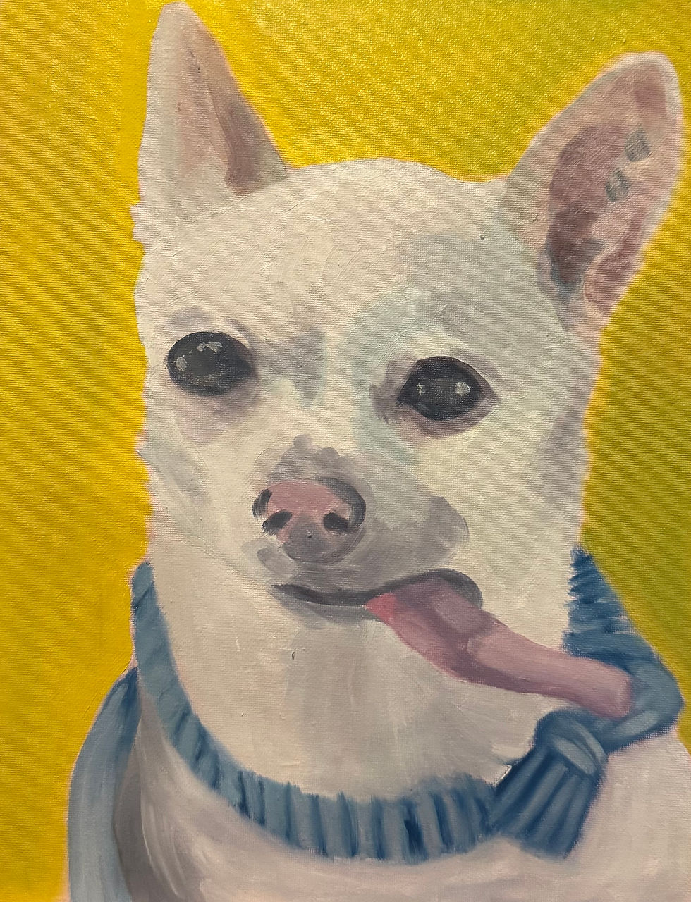 Thumbnail: Chihuahua Study 023-029