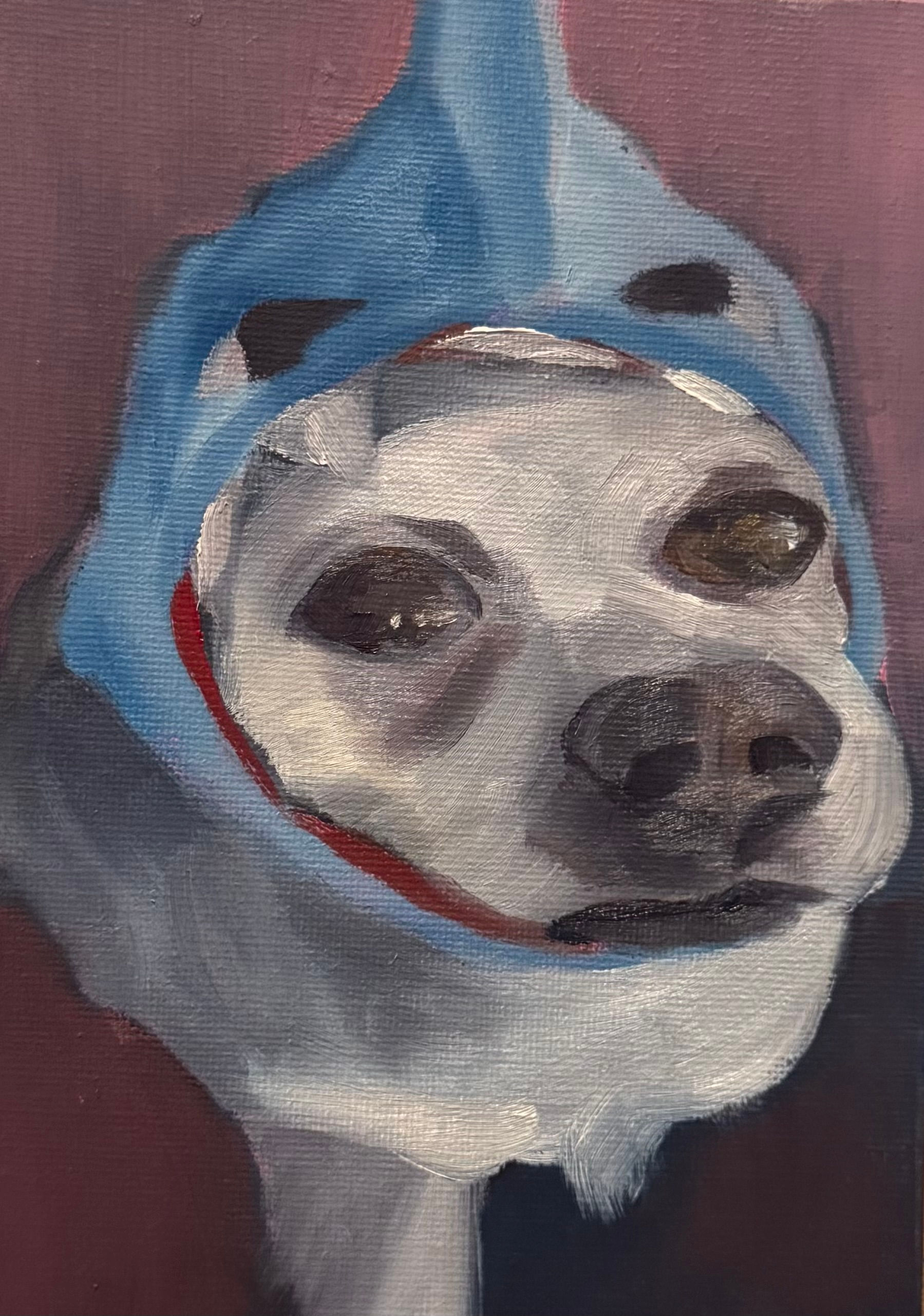 Chihuahua Study 005, 2026