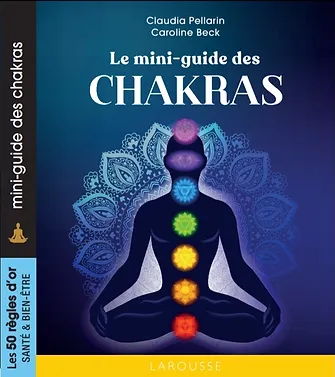 chakras couverture.webp