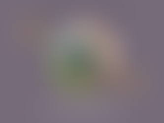 How Can a Compassion Lens Transform International Development?