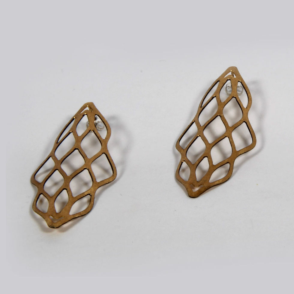 Earrings in sterling silver by Sarina