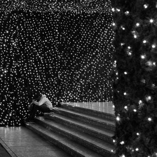 rotterdam b&w photo picture 