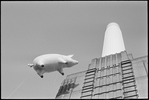 Carinthia West, Pink Floyd, Animals, 1973, Print, Photograph