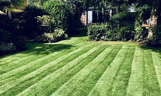 Professional lawn treatment services across the Wirral by Verde Lawn Care