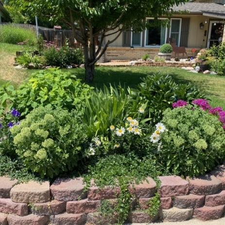 Beautiful Yards