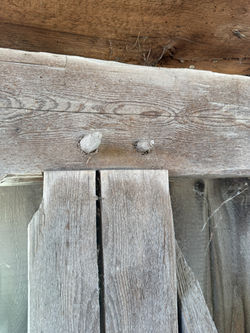 Willsboro Sheep Barn