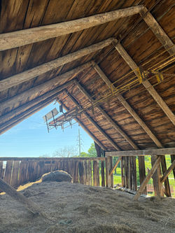 Willsboro Sheep Barn