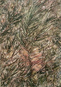 scan0015.jpg