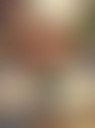 The Importance of Strength and Balance Training in Reducing Hip and Pelvic Fracture Risks in Seniors