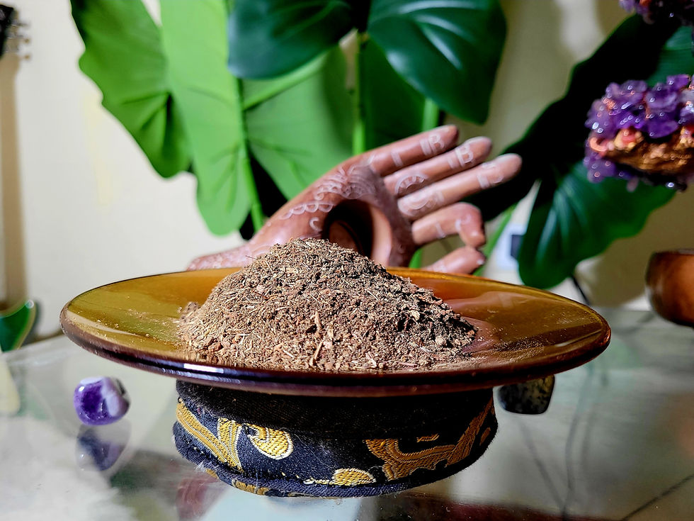 Herbs to boost immune system