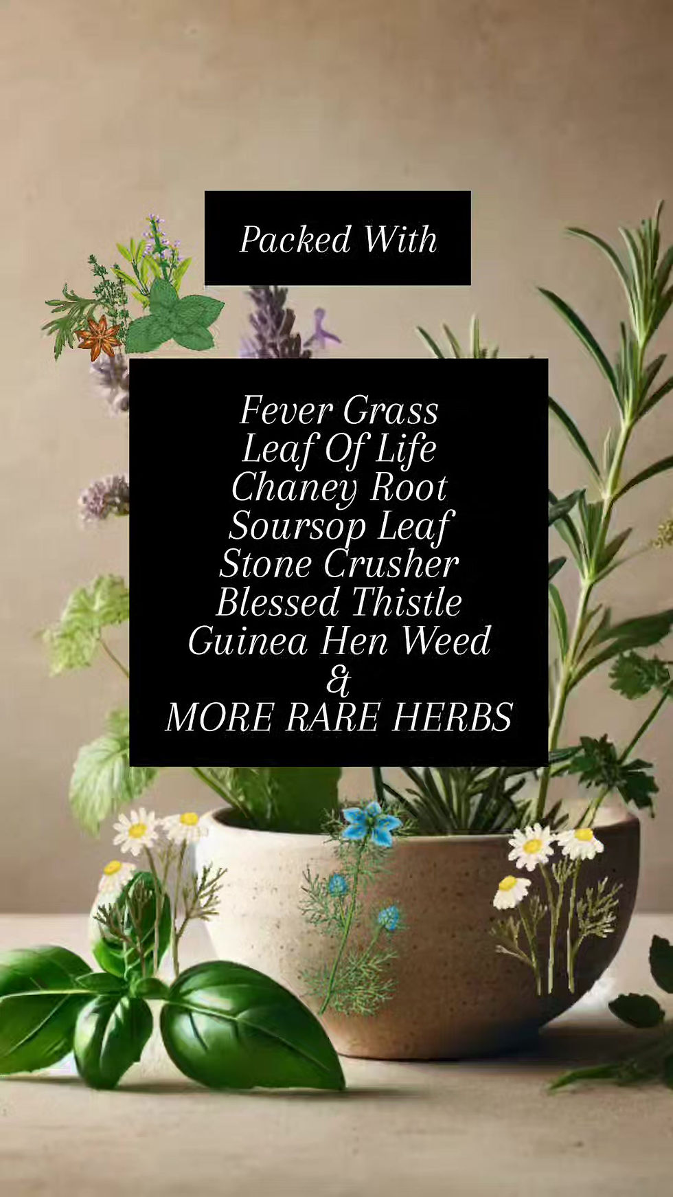Thumbnail: Cure All - (Powerful Balancer/Cleanser) (Should Be Added To Every Order)
