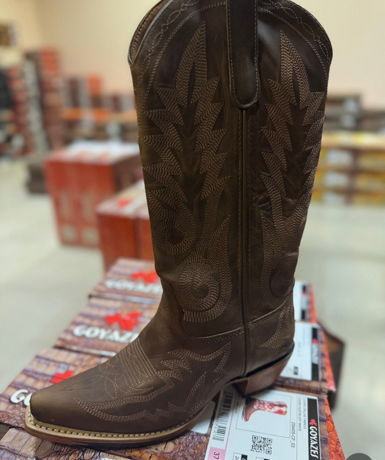 Goyazes bota furta cor 256803-CC