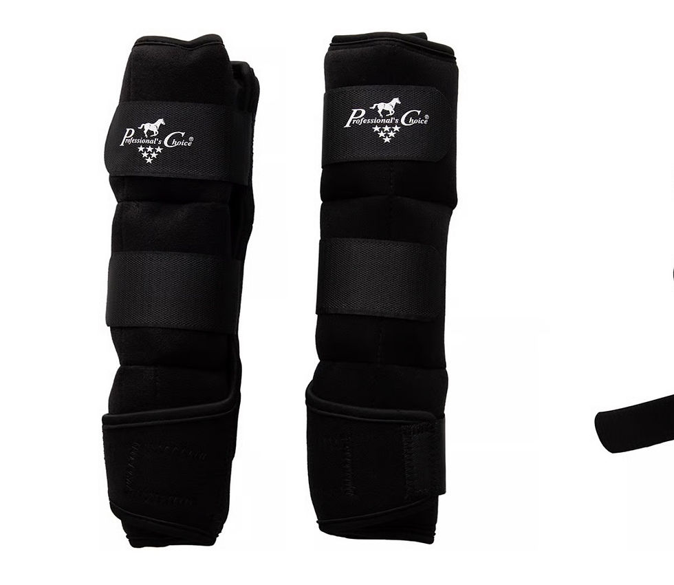 Miniatura: BOOTS HORSE ICE BOOTS