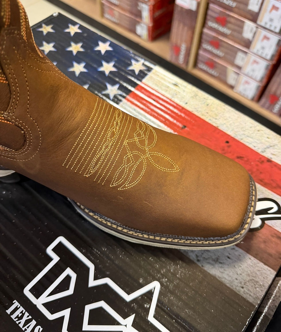 Miniatura: Texas stars bota wisk bege 1702356