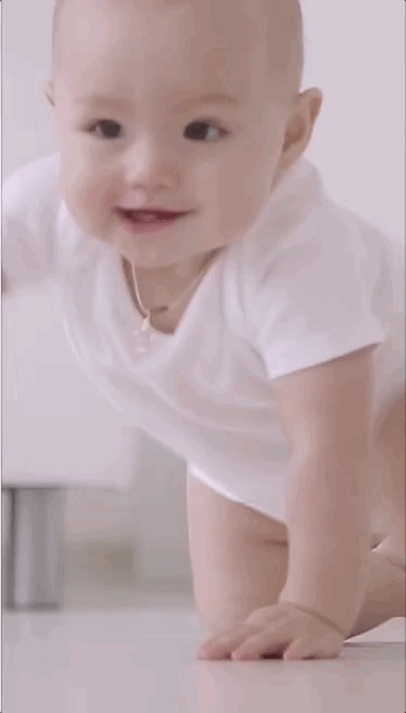 Gif1.gif