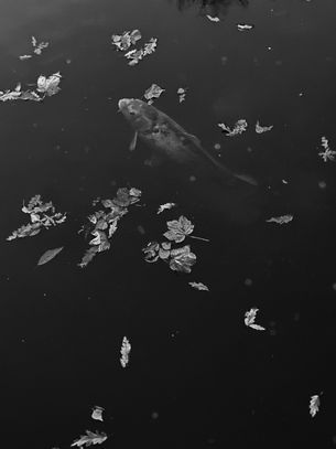 masao yamato developments 9.jpg