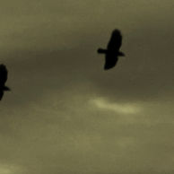 masao further developments 9.jpg