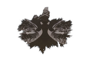 p further developments 3.jpg