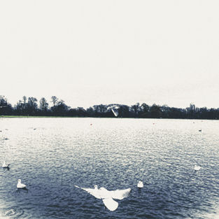 catherine developments 10.jpg