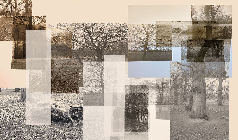 further developments 5.jpg