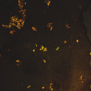 masao yamato further developments 13.jpg