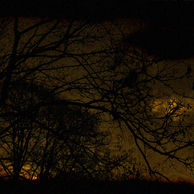 masao further developments 1.jpg