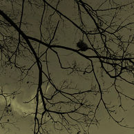 masao further developments 9.jpg