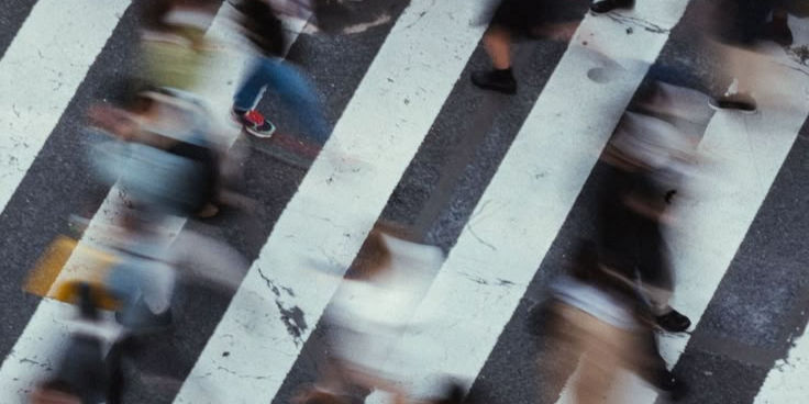 Why Does Everything Suddenly Look So… Sensible?