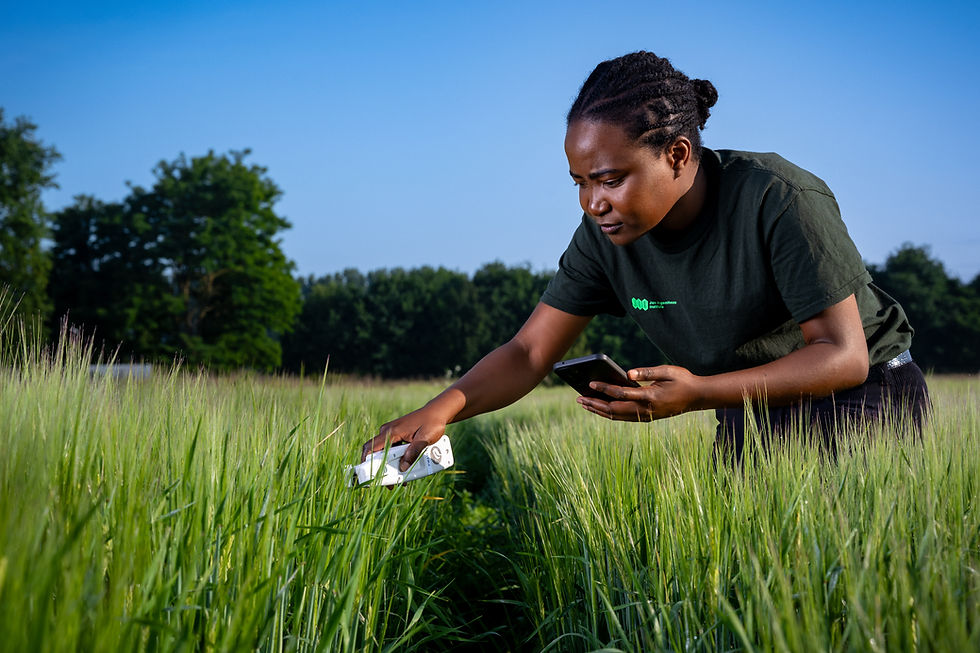 Andere Beelden (5).jpg