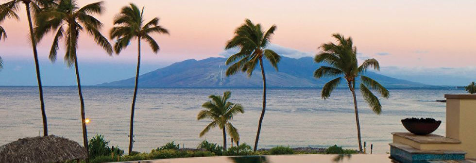 palm trees on a beach resort in Hawaii