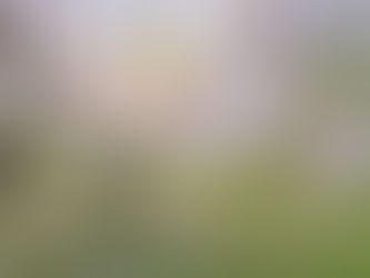 Mini sedinte foto de primavara in parc 2026 - Bucuresti - oferta speciala