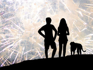 5 steps to keep your dog safe during fireworks