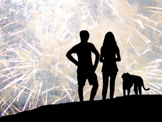 5 steps to keep your dog safe during fireworks