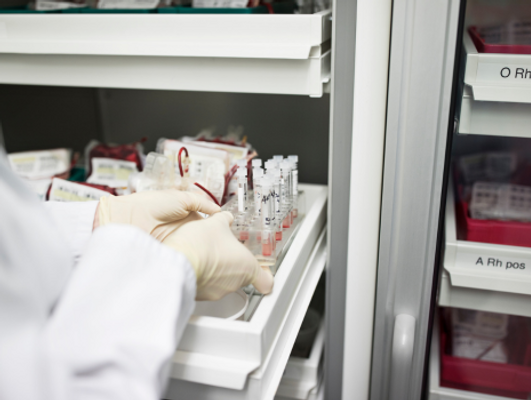 laboratory climatic chamber designers, MB3 Technical, are experts in delivering laboratory cold storage projects